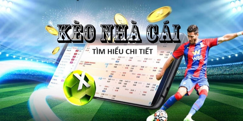 1126bet-Sở hữu ứng dụng Android／IOS và trải nghiệm!